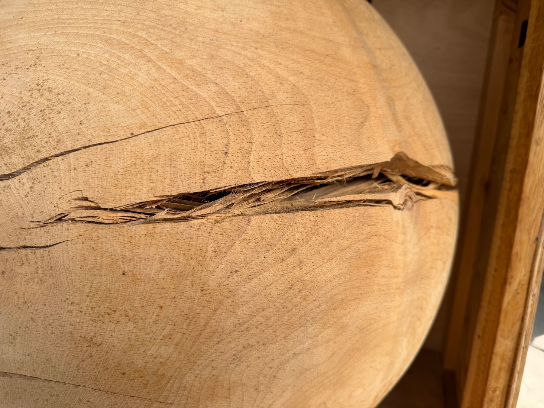 Articoli in legno: Holzkugel Buche; 65 cm; roh, – Nuovo (secondo la descrizione) da Wildberg venduto da Melramos04 4