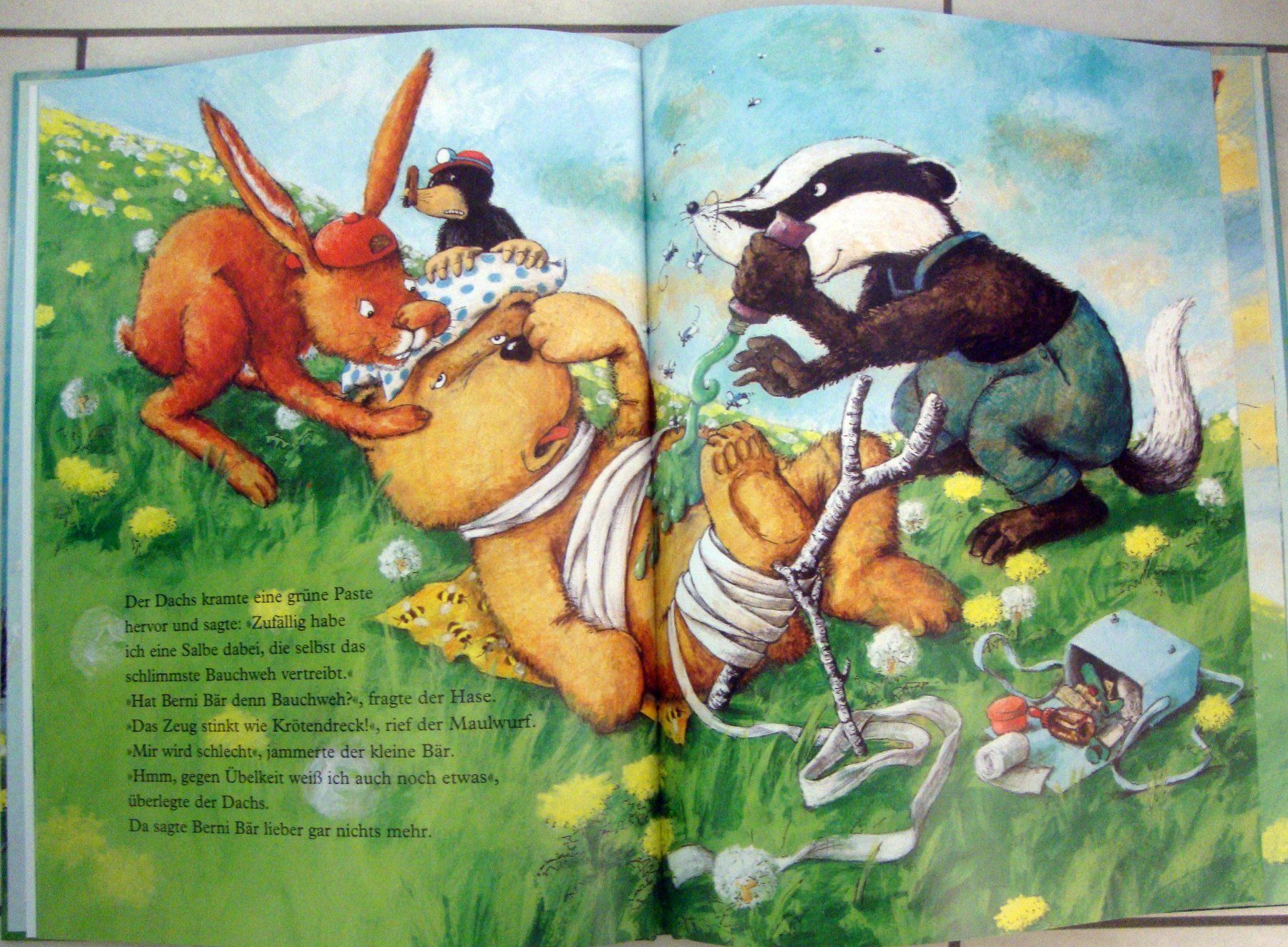 Libri: Bist du krank, Berni Bär? – Usato da Wetzikon ZH venduto da strubeli024 2