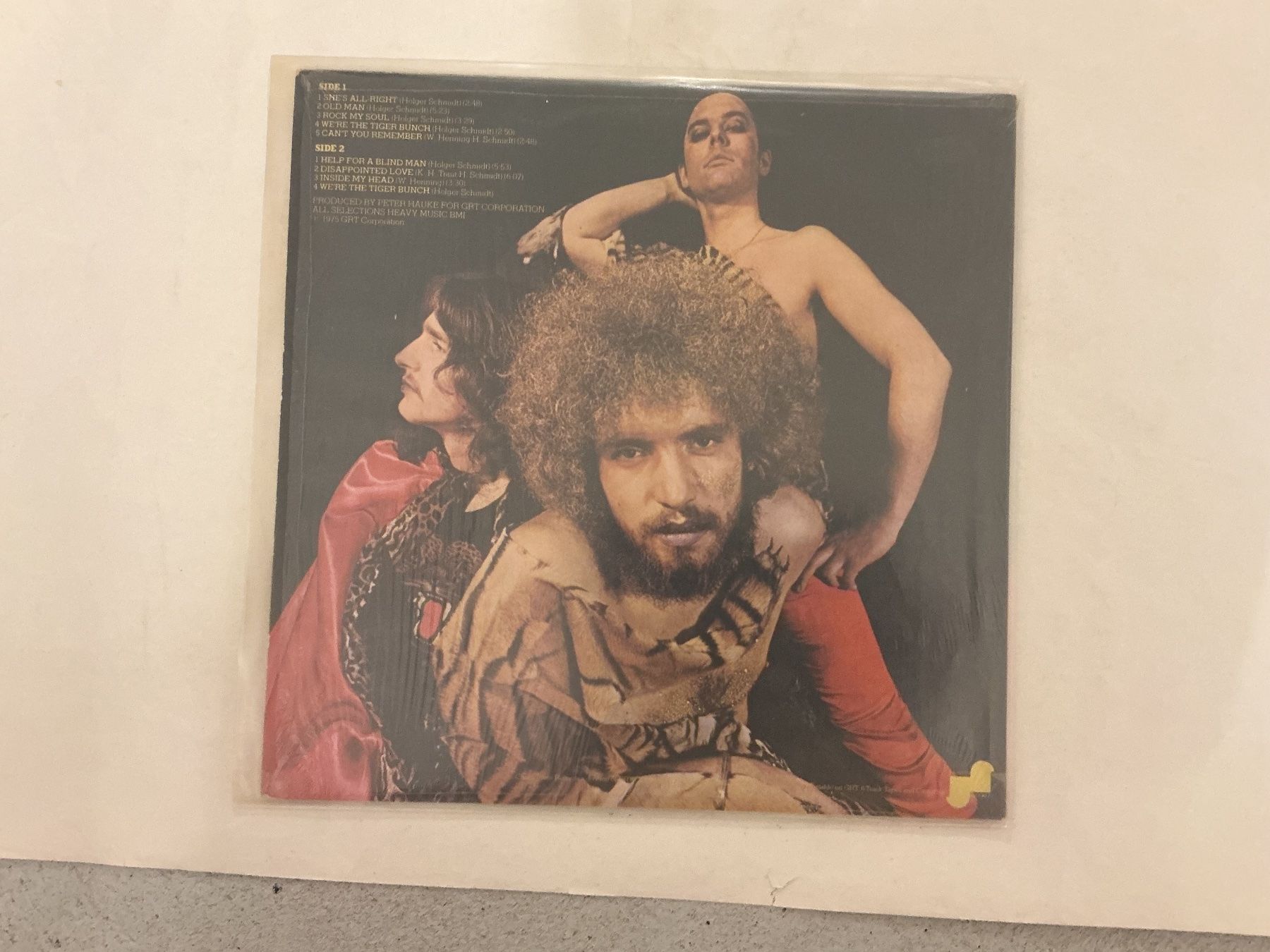 Dischi in vinile: Tiger B. Smith LP - The Tiger Rock – Usato da Winterthur venduto da Tumko-Vinyl 1