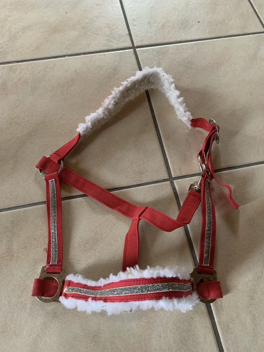 Briglie & Cavezze: Weihnachtshalfter Full – Usato da Dotzigen venduto da cha_d9ck