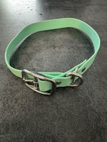 Hundehalsband Grün