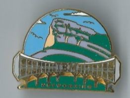 Placchette & Badge: IBM Netzwerk Pin – Usato da Zürich venduto da t24_de
