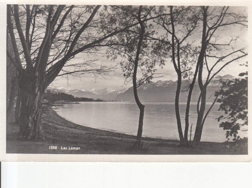 Cartoline postali: Lac Léman 1929 – Usato da Bürglen TG venduto da StampGraf