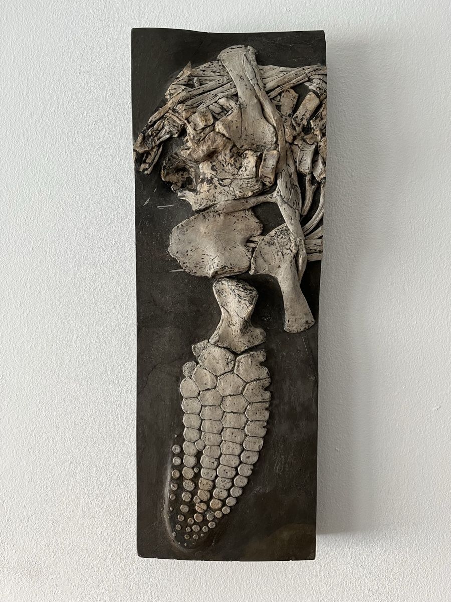 Fossiles: Ichthyosaurier Fossil Holzmaden – Neuf (Voir description) à Orpund par Steinway