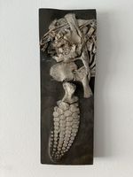 Ichthyosaurier Fossil Holzmaden