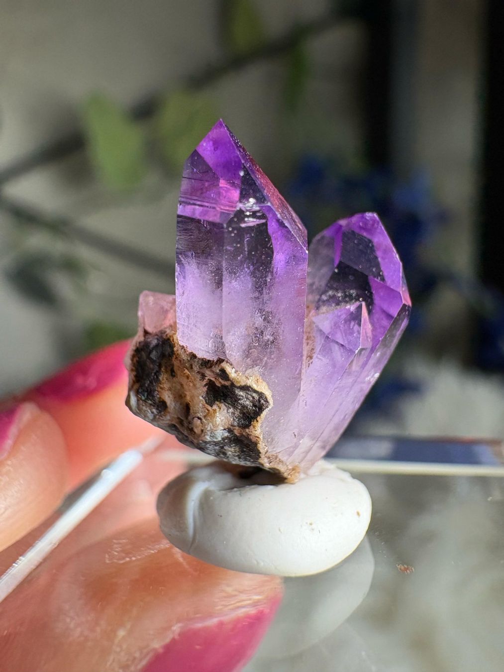 Pietre preziose: Veracruz Amethyst – Nuovo (secondo la descrizione) da Neuheim venduto da m.hald 1