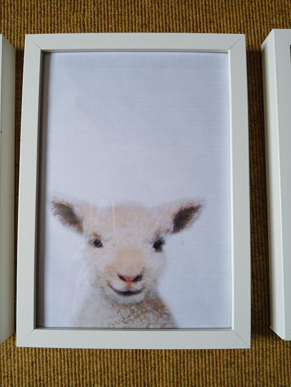 Poster & Bilder: 4 Tierbilder/ Kinderzimmerbilder mit Rahmen – Gebraucht aus Langendorf von bine9 3