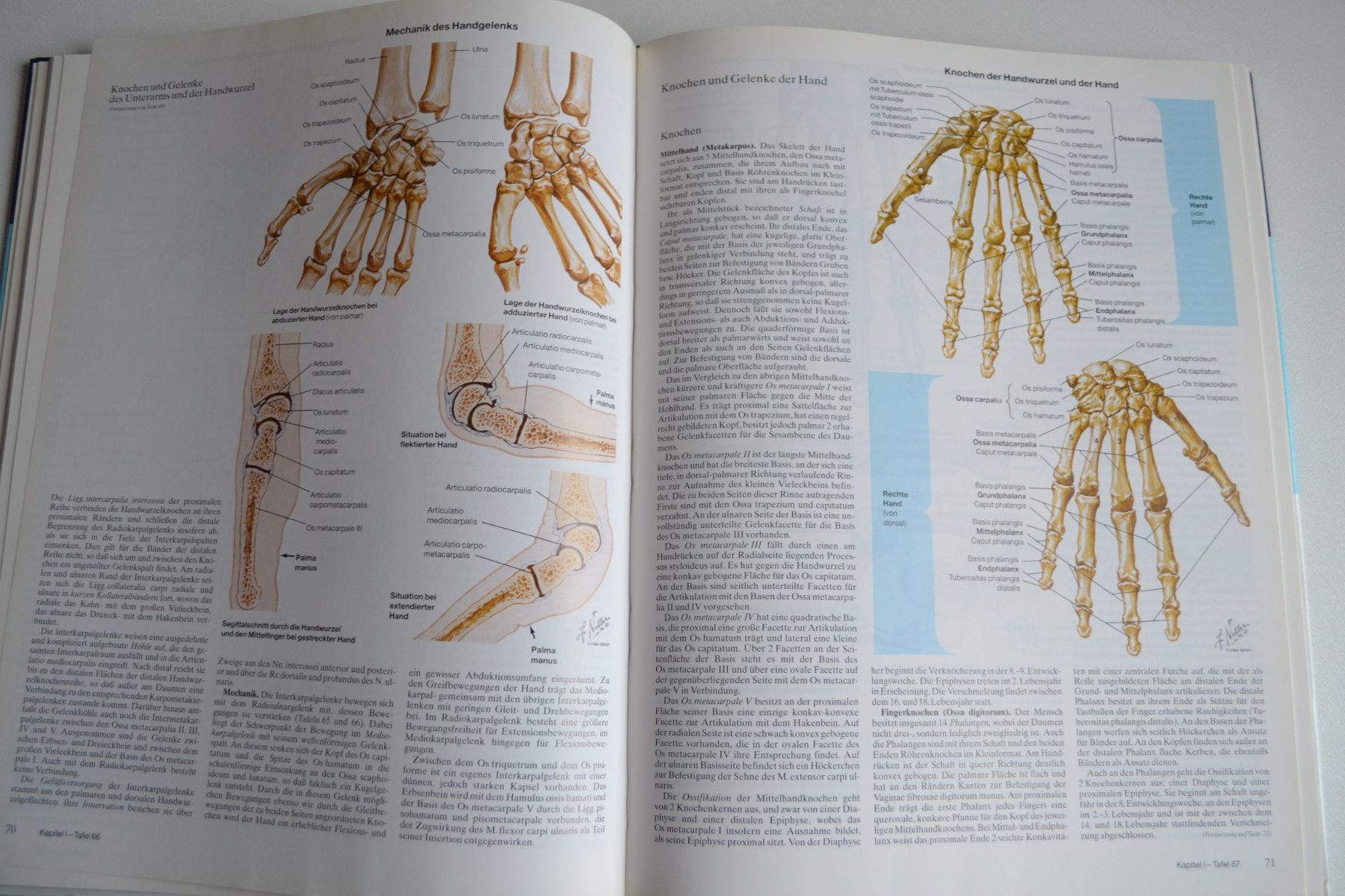 Bücher: Farbatlanten der Medizin 256 Seiten – Gebraucht aus Beinwil am See von kajak55 4