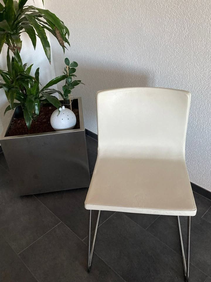 Ikea Set di tavolo e panche: Table à manger et 6 chaises – Usato da Romont FR venduto da Thoma_bdn 2