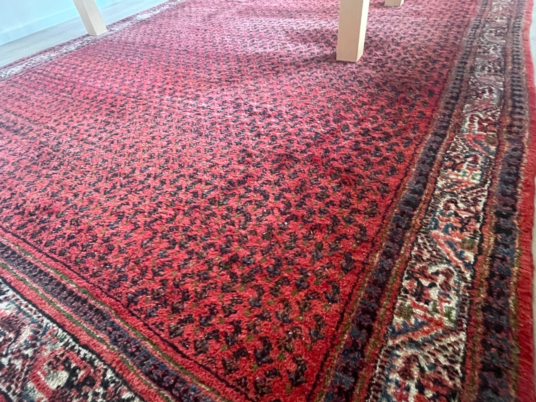 Tappeti: Teppich 246 x 355cm – Usato da Schmerikon venduto da die_8b8m 4