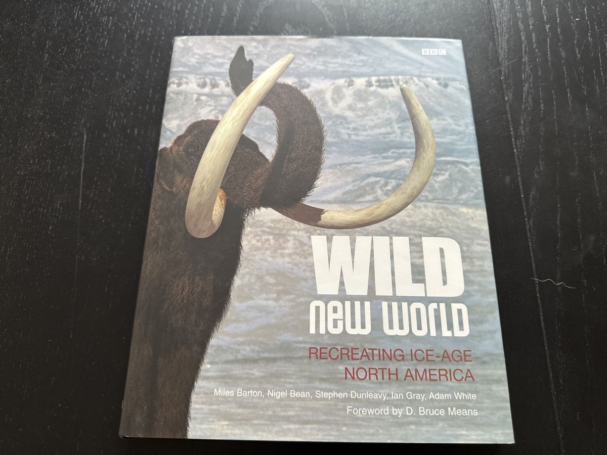 Libri: WILD New World – Usato da Erstfeld venduto da Uhu1980