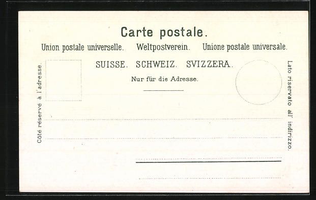 Cartoline postali: Lichtensteig, Ortsansicht aus der Vogels – Usato da Berlin venduto da bartko-reher 1