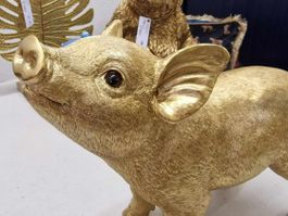 Schwein / Ferkel Gold