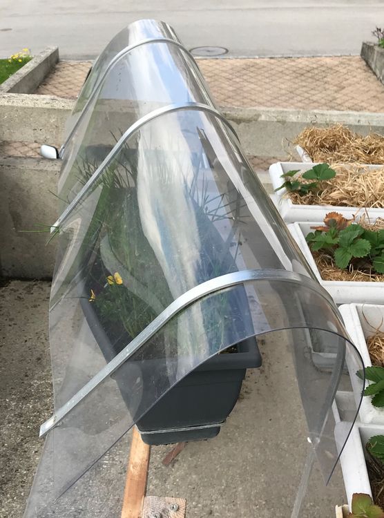 Regenschutz für Balkonkästen zum Einstecken Plexiglas 100 cm Kaufen