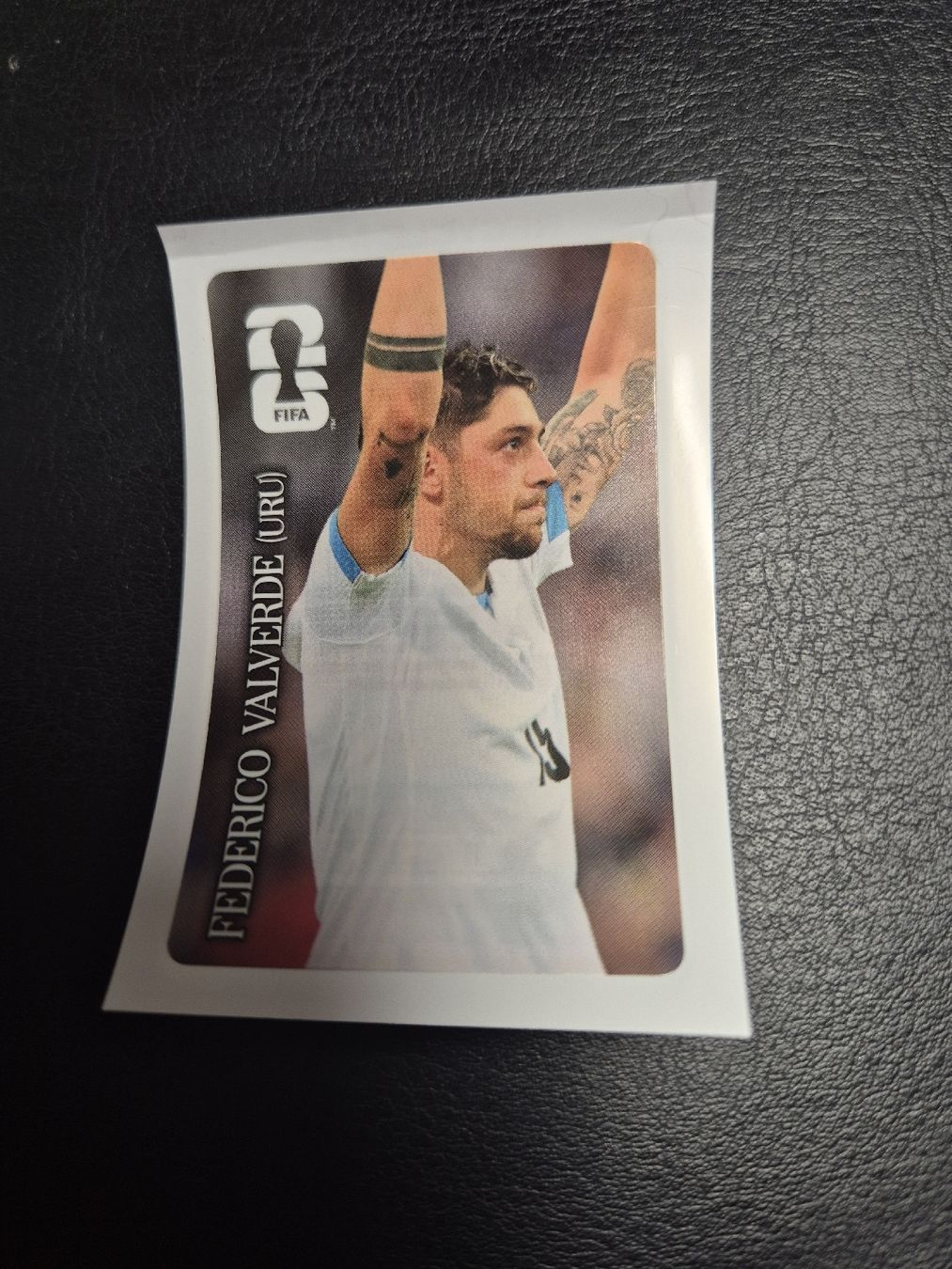 Panini Carte collezionabili: Cola Panini Frederico Valverde – Nuovo (secondo la descrizione) da Künten venduto da An44As26