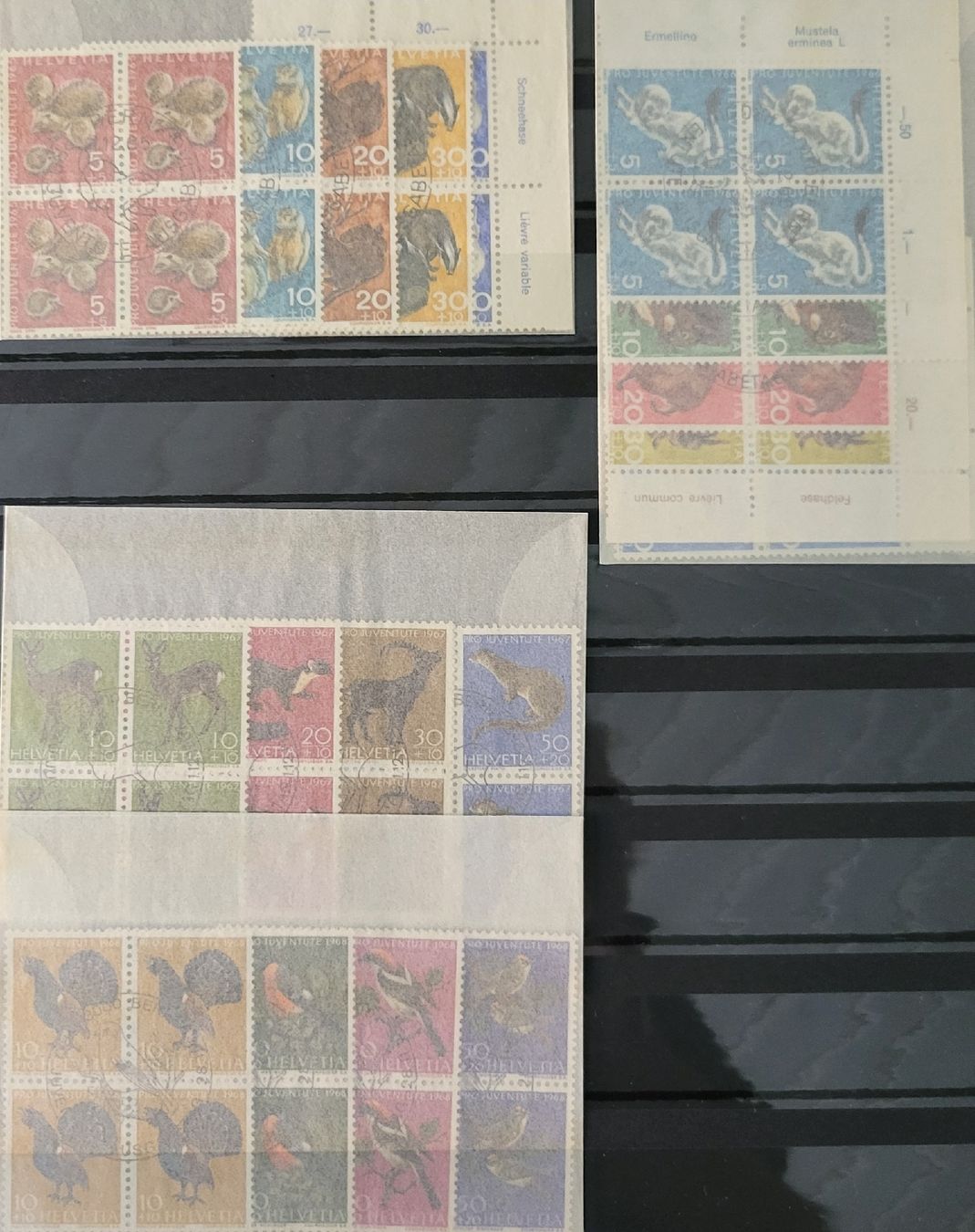 Tous les timbres: Briefmarken Sammlung Pro Juventute  – D'occasion à Thun par harry999 8