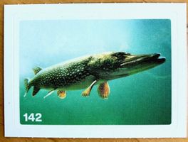 Migros Nature Detectives - Bild Nr. 142