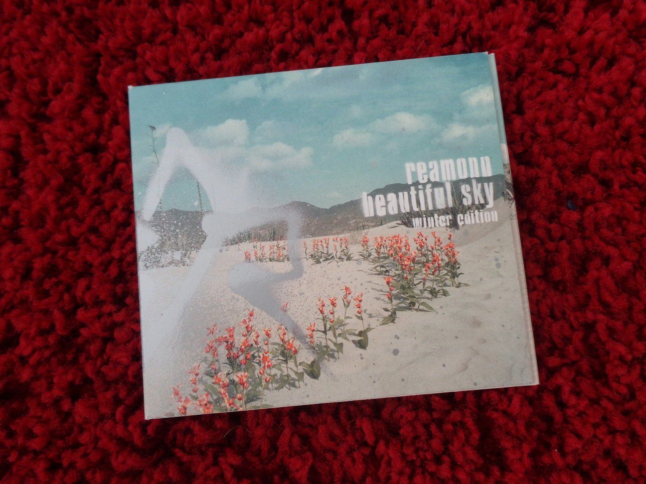 CDs: Beautiful Sky/Reamonn/DCD – Neuf (Voir description) à Rothrist par Mistery1