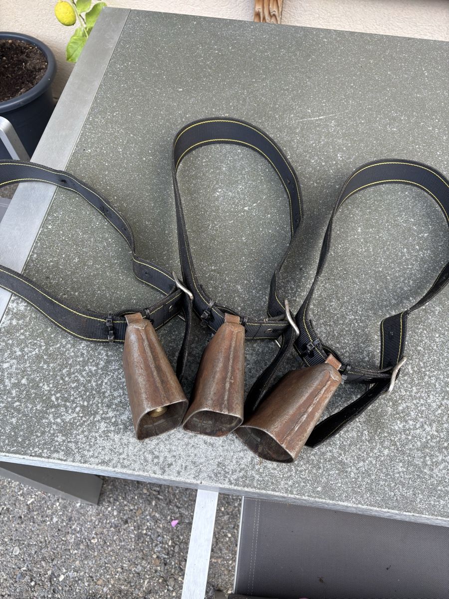 Glocken & Treicheln: 3 Gotthardt NR 3 – Gebraucht aus Schangnau von Roseggli82 8