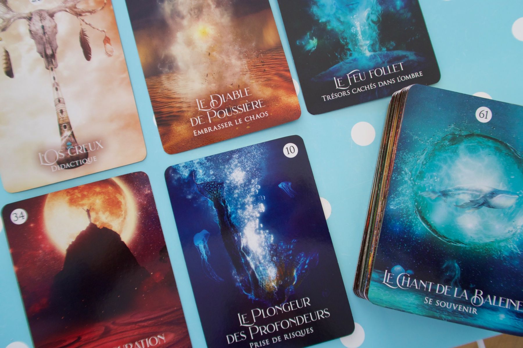 Giochi: Le Rêve du Chaman, cartes oracle – Nuovo (secondo la descrizione) da Lausanne venduto da Etoile96 8