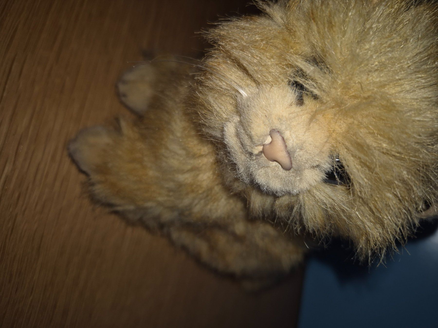 Figurines: Steiff Plüsch Katze – D'occasion à Buttikon SZ par sefa02