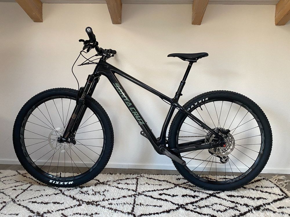 2020 santa deals cruz chameleon