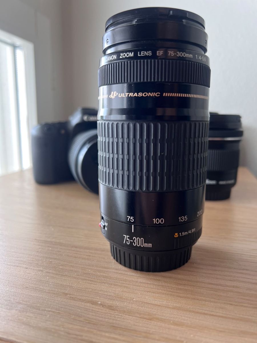Canon Fotocamera: Canon EOS 80 D – Nuovo (secondo la descrizione) da Cham venduto da debsfuchs 4