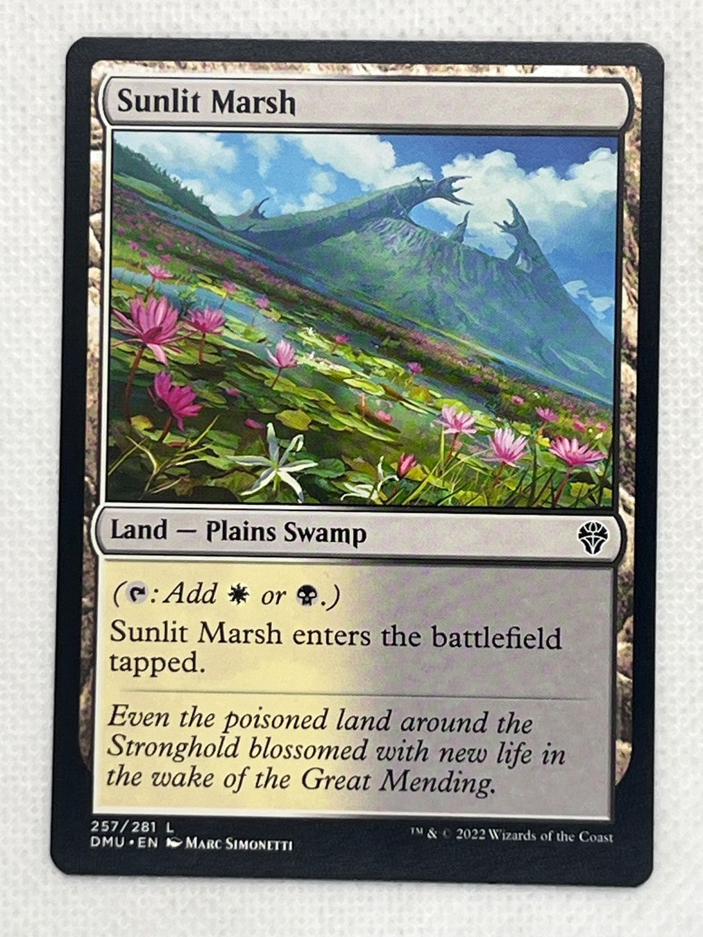 Magic The Gathering Sammelbilder & Trading cards: MTG Sunlit Marsh DMU 257 Englisch Common – Gebraucht aus Hinterkappelen von Kim1992