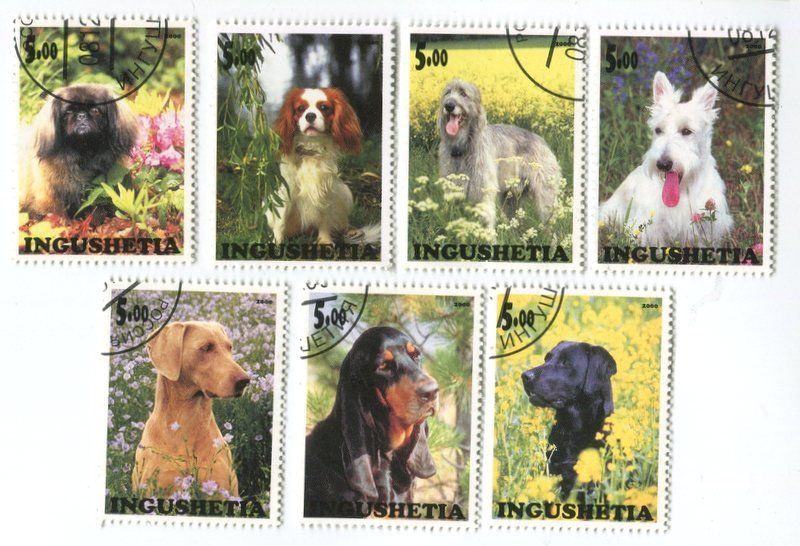 Tutti i francobolli: Briefmarken "Hunde". Inguschetien – Nuovo e nell'imballaggio originale da Basel venduto da Butsch5