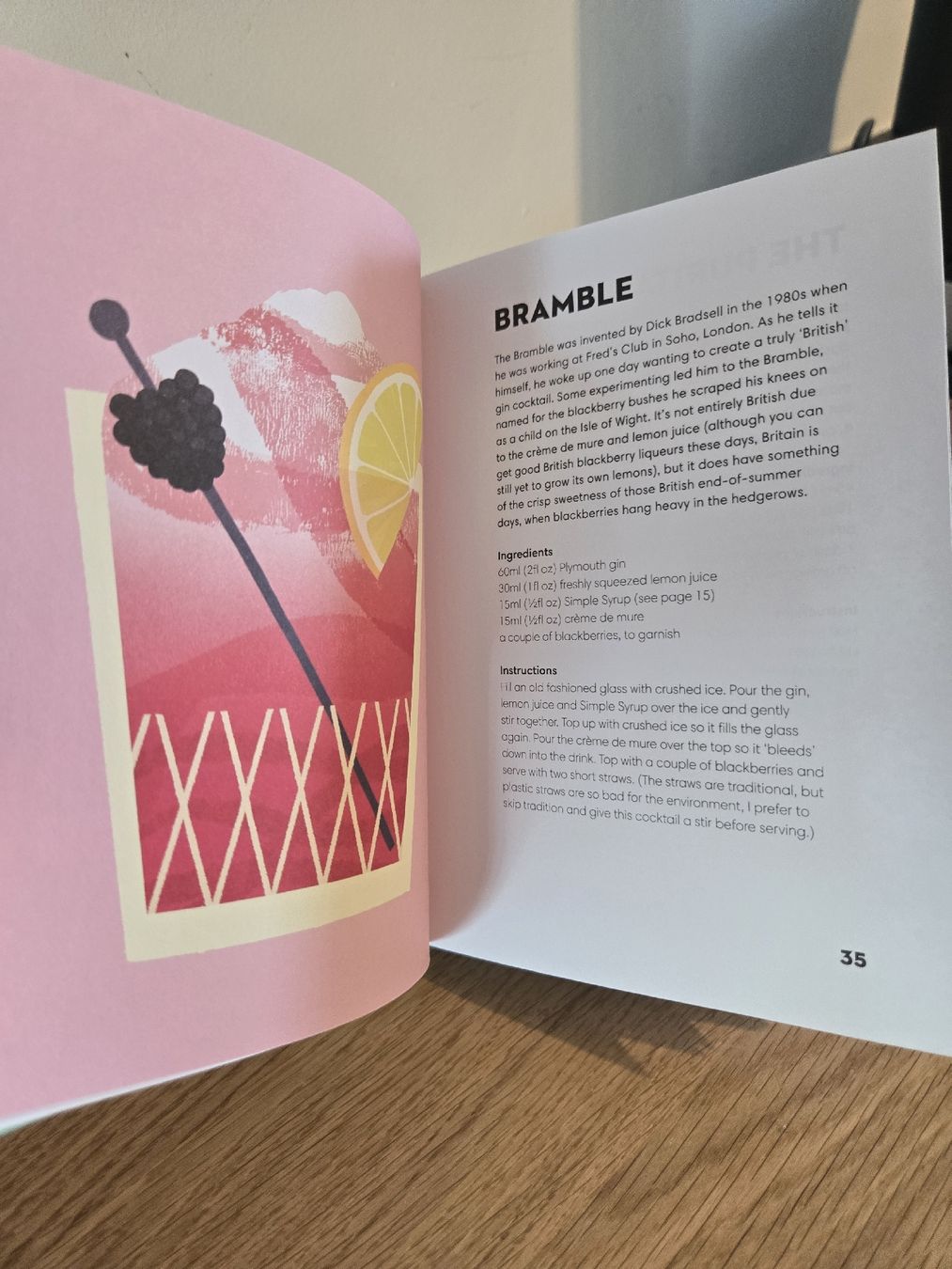 Libri: Cocktailbuch "Gin Made Me Do It" - Sommer Drinks! – Usato da Dübendorf venduto da Timulka 3