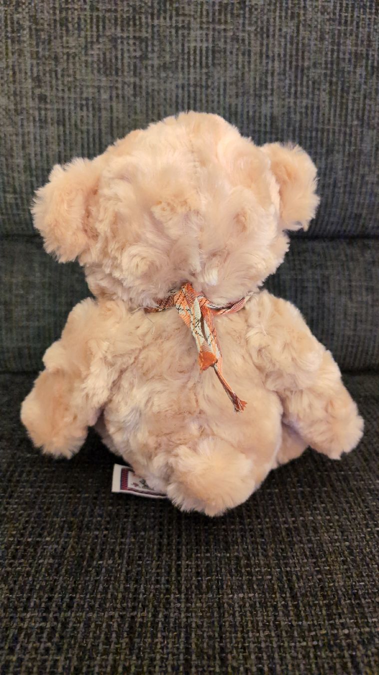 Giocattoli: Teddybär von Kuschelwuschel 19 cm – Nuovo (secondo la descrizione) da Rüfenach AG venduto da sen_vbz6 1