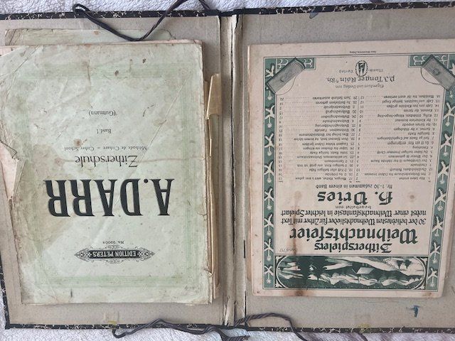 Strumenti musicali: cithare – Usato da Renens VD venduto da Delphine01112 2
