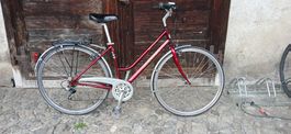 Cilo city velo RUBI