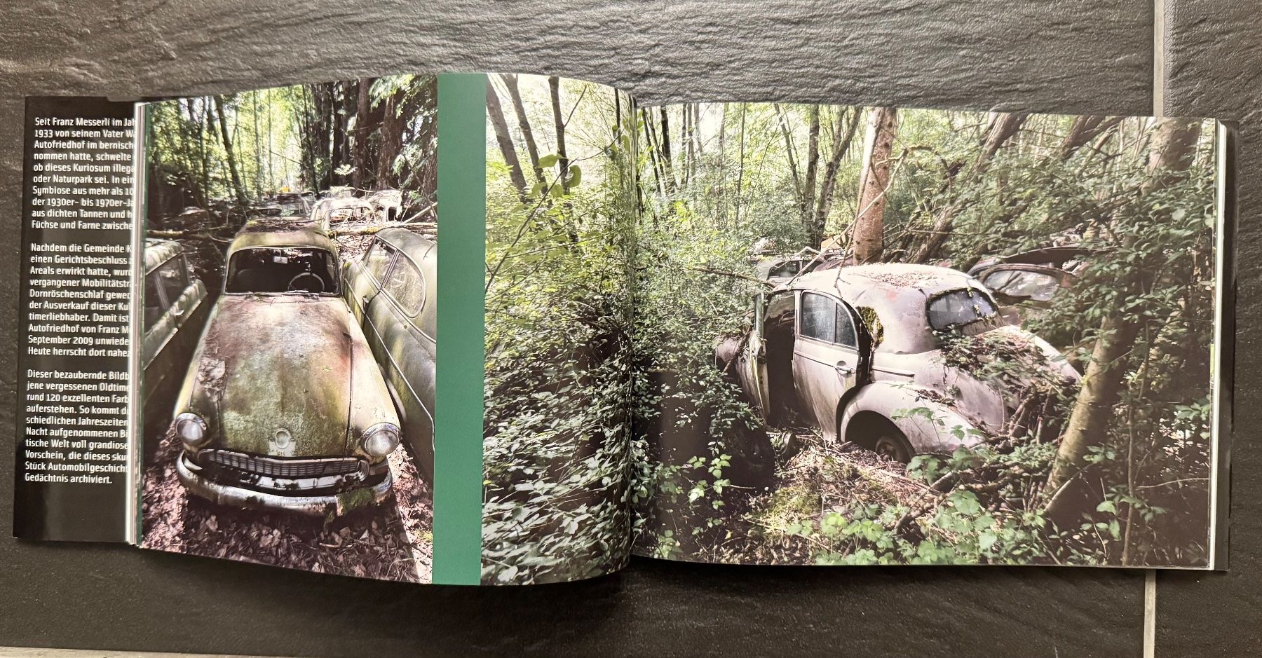 Libri: Dauerparker: Bildband vergessener Oldtimer-Legenden! – Usato da Wolfwil venduto da whyjoker 2