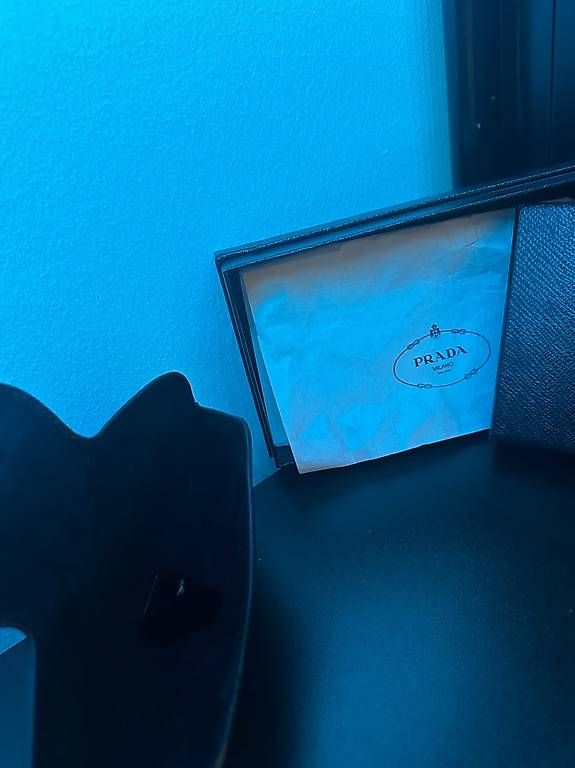 Occhiali & Lenti: PRADA saffiano leather Sonnenbrillen case – Usato da Neuenegg venduto da superbear123 1