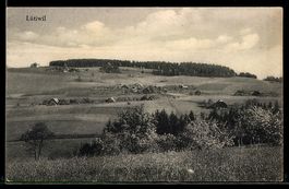 AK Arni, Lütiwil, Ortsansicht mit Bauernhöfen und Wiesen