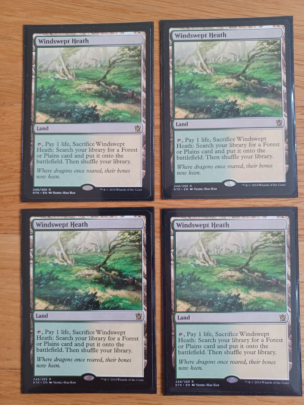 Magic The Gathering Carte collezionabili: 4x Windswept Heath – Usato da Bad Ragaz venduto da Vicvega