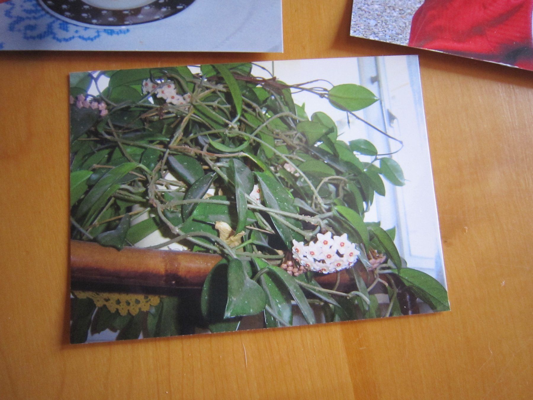 Tutti i francobolli: S1 schöne Swisspostcards 2006 – Usato da Giubiasco venduto da sal_9j6w 1