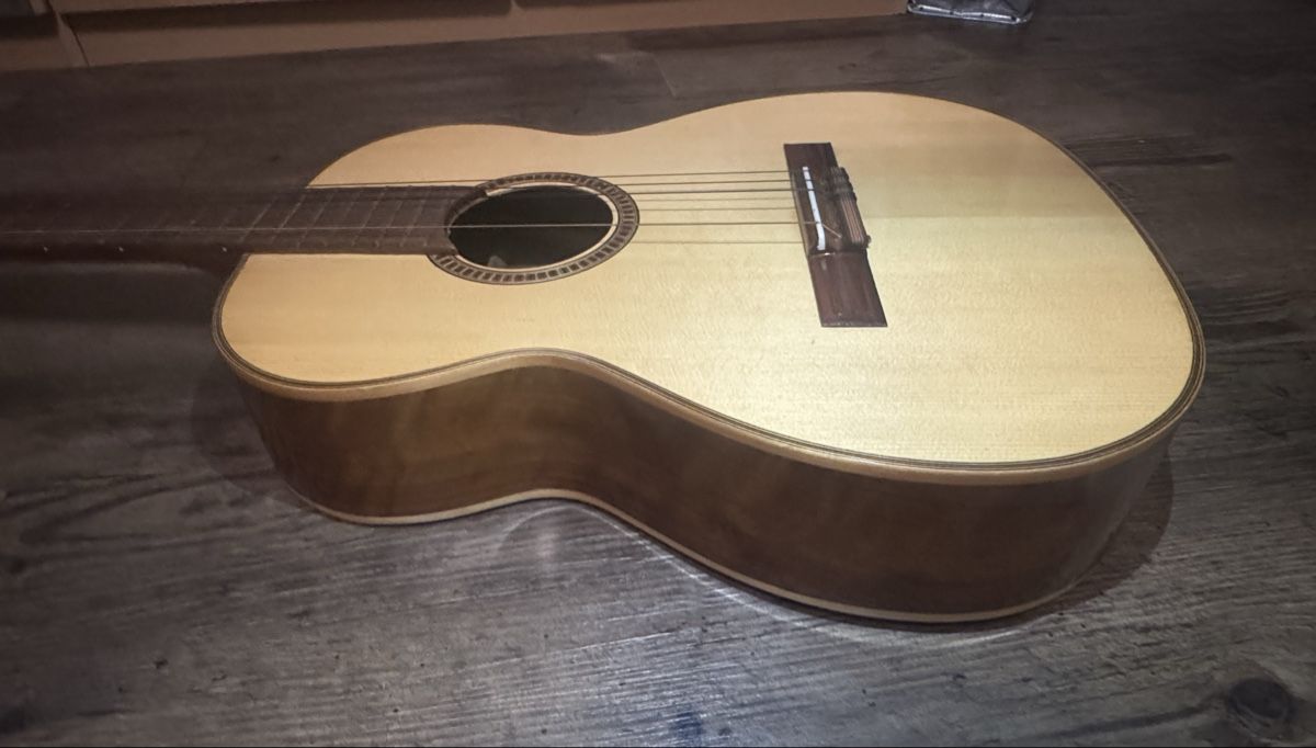 Giannini Strumenti musicali: Giannini AWN21(1979) – Usato da Hochdorf venduto da fla_hl9g 1