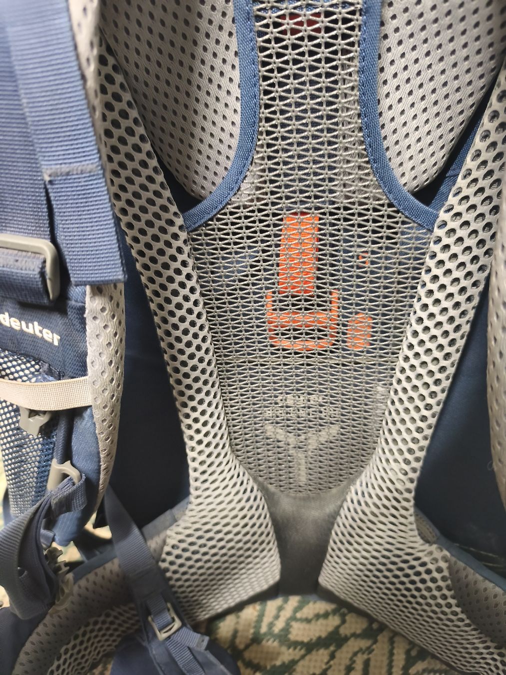 Deuter Marsupi portabebè: deuter Kid Comfort Pro Kindertrage – Usato da Schliern b. Köniz venduto da andrealisa91 2