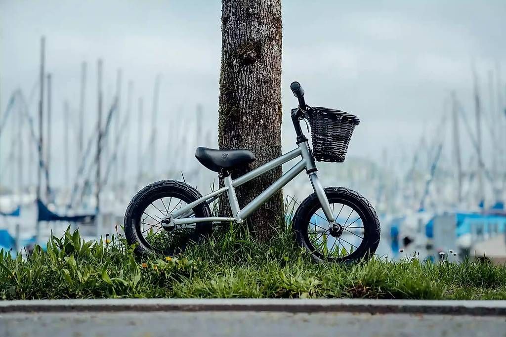 Biciclette: Siech Cycles Balance 12" – Usato da Zunzgen venduto da TCS