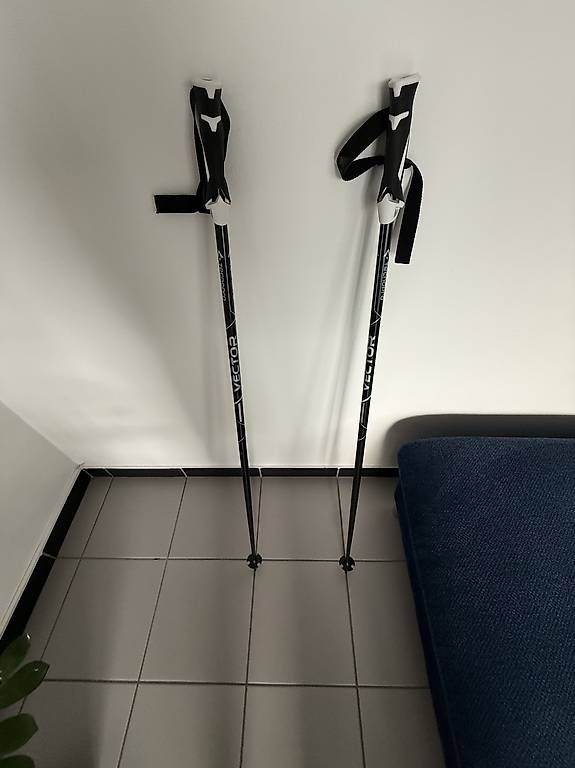 Bastoncini da trekking: Bastoni da trekking  – Usato da Lodrino venduto da Ale-89