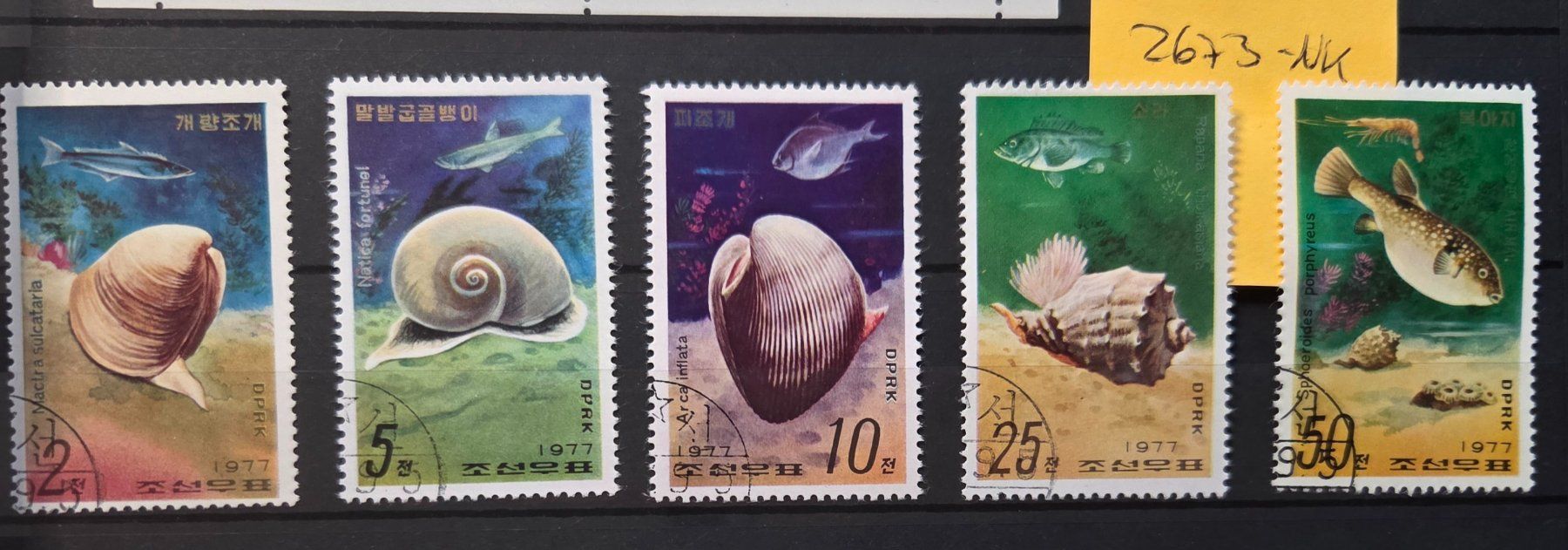 Alle Briefmarken: Briefmarken Nordkorea 2673-NK – Neu (gemäss Beschreibung) aus Köniz von Briefmarken_Frau