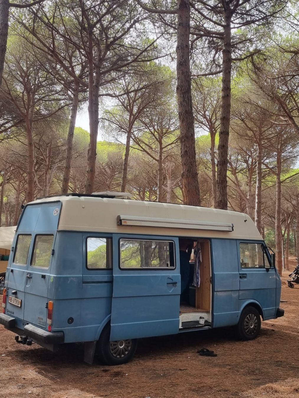 VW Veicoli da campeggio: VW LT31  – Difettoso da Wattenwil venduto da Laurentjacot