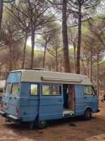 VW LT31 