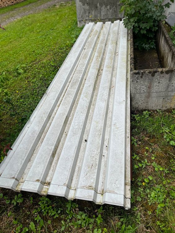 59+ Gewächshaus Gebraucht Ebay Kleinanzeigen, Tolles gewächshaus