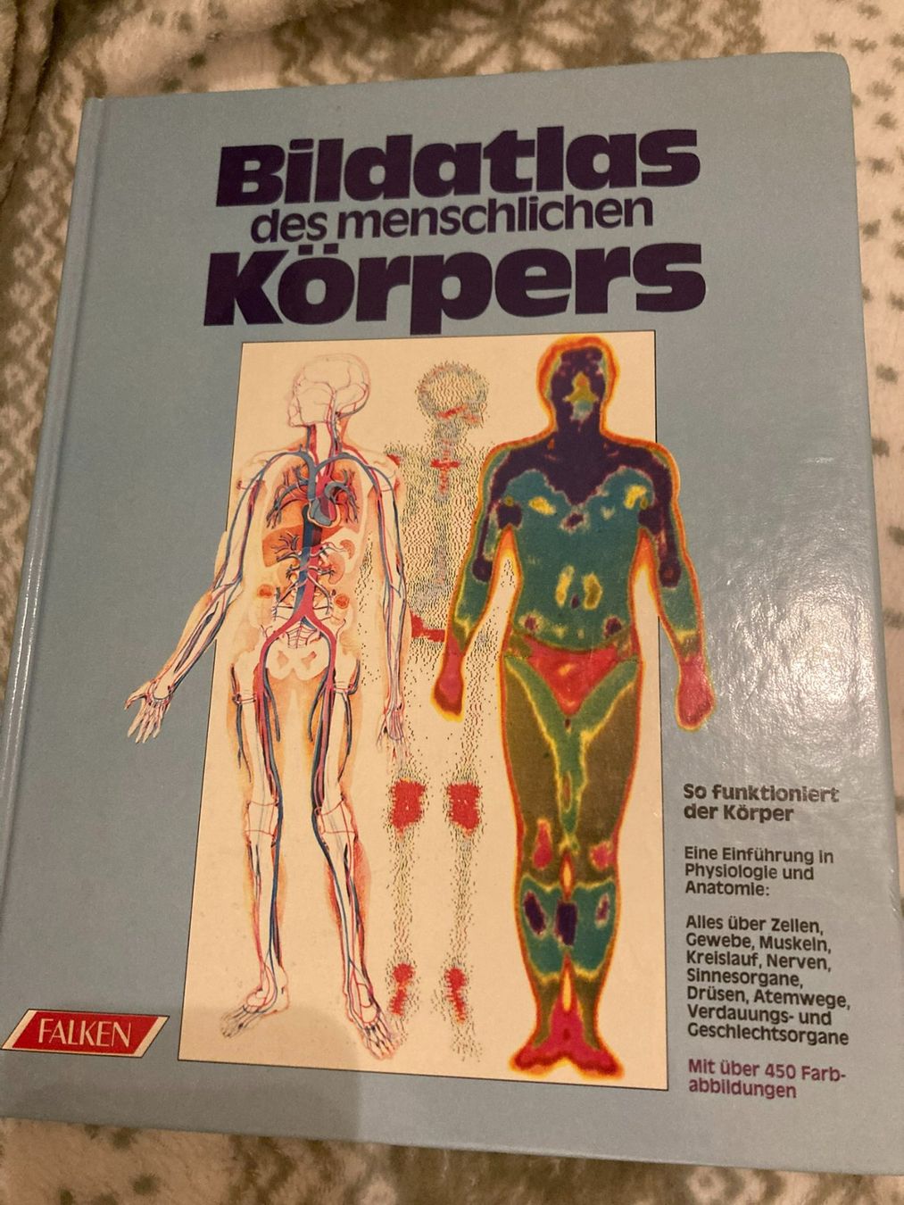 Libri: Bildatlas des menschlichen Körpers – Usato da Niederscherli venduto da ypsilon315