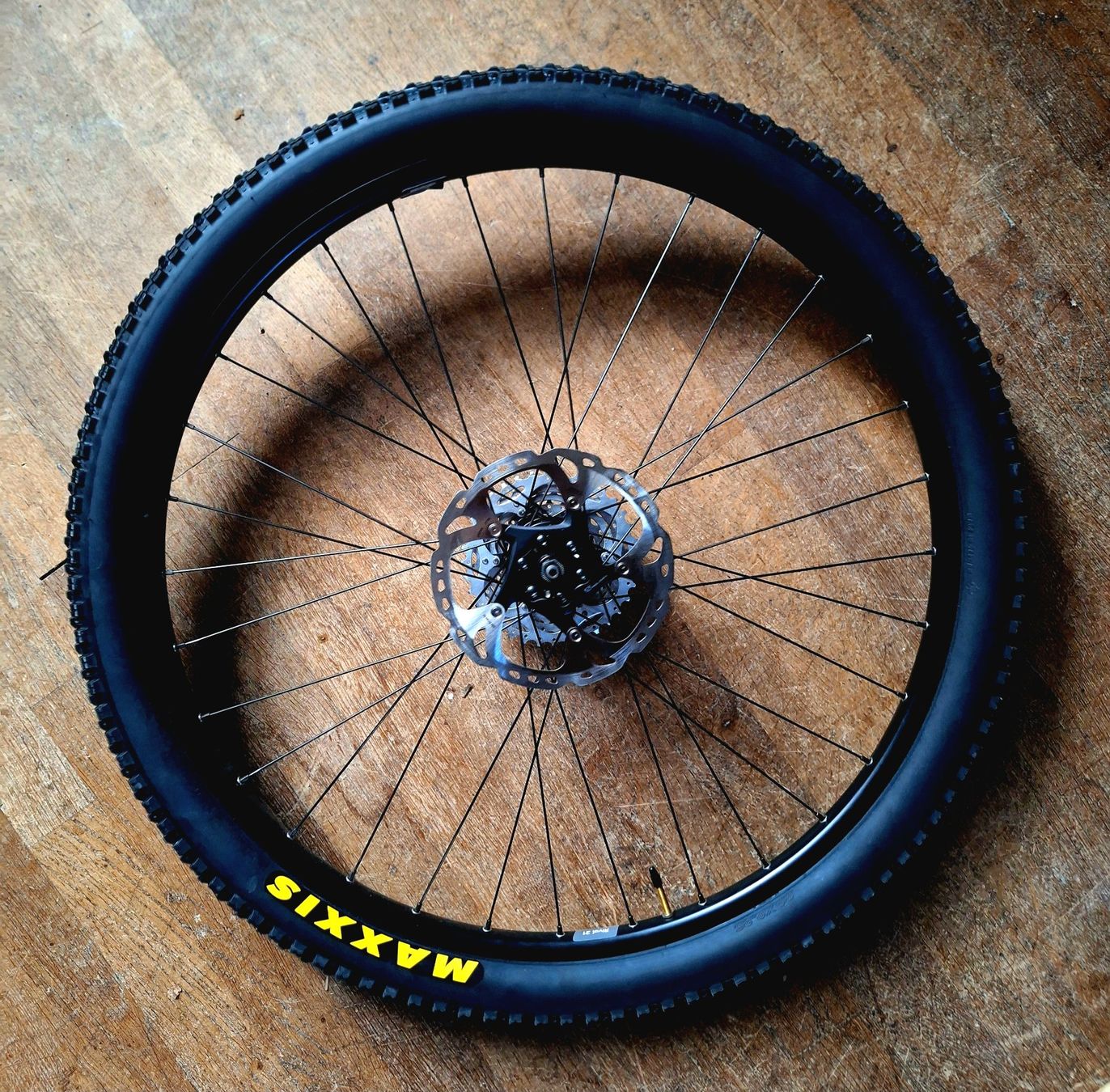 Pneumatici & Ruote complete: Shimano Wheels Set MTB 29" – Nuovo (secondo la descrizione) da Basel venduto da OnutWOODLAND 1