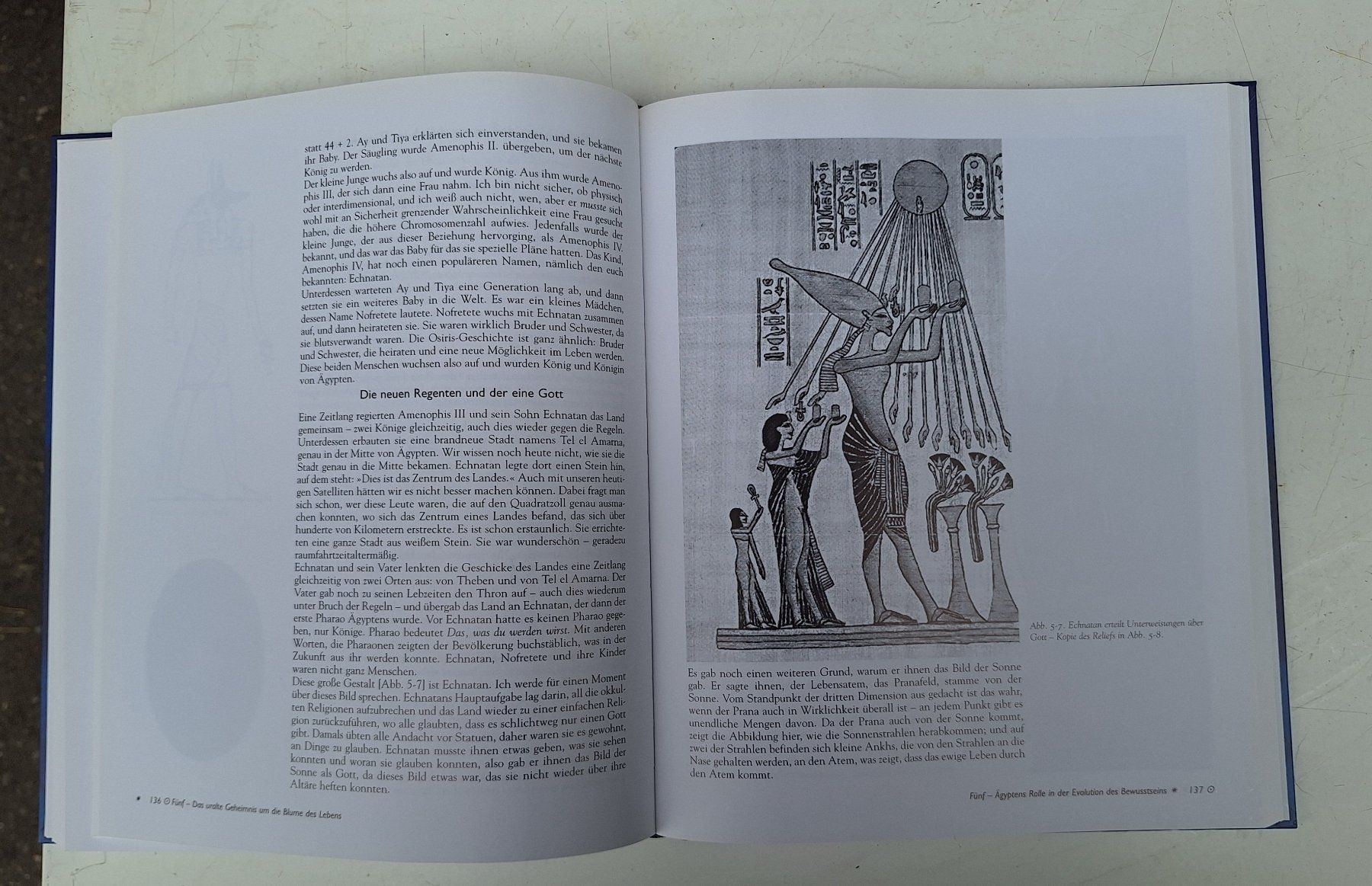 Bücher: Die Blume des Lebens, Band 1, Drunvalo Melchizedek – Gebraucht aus Weinfelden von JoeBaer 2