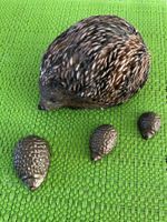 Igel zum Aufstellen